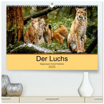 Der Luchs
