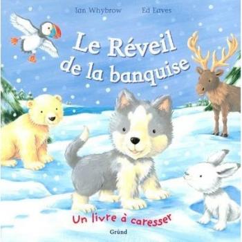 Ian Whybrow Le Réveil De La Banquise