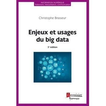 Enjeux et usages du big data