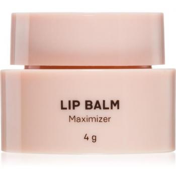 Sisters Aroma Maximizer Lippenpflege „Lip‑Lift“ – 4 g