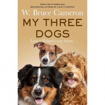 My Three Dogs