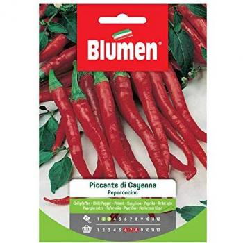Blumen Semi Peperoncino Cayenna