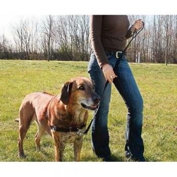Pettorina Trixie per Cane Easy Walk