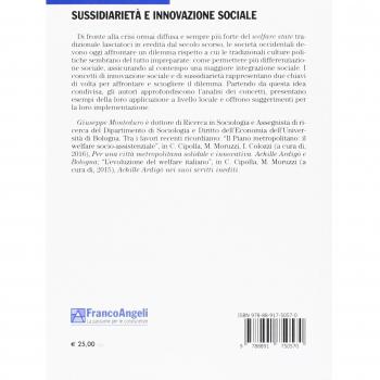 Sussidiarietà e innovazione sociale. Costruire un welfare societario