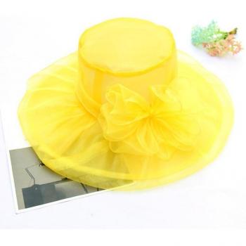 Chapeau d'été en organza pour femmes, vintage, double couche, casquette de plage à fleurs