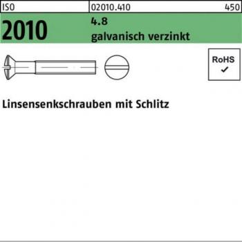Vis m.Schlitz ISO 2010