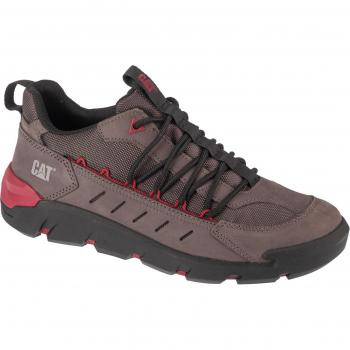 Baskets homme « Sport Low » en gris