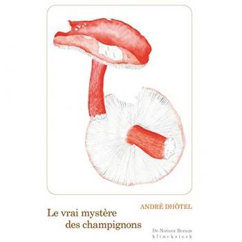 Le Vrai mystère des champignons