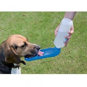 Automatic Litter Box with Water Spray