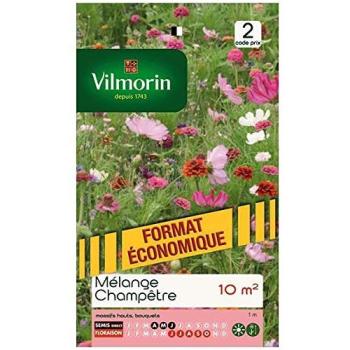 Mélange de Fleurs Champêtres