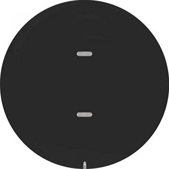 Schwarzes 1‑Phasen Keyboard R.X von Berker (Hager)