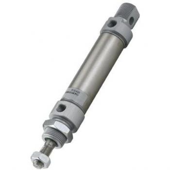Vérin RS PRO Cylindrique 25mm 80mm Double Action