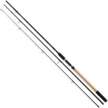 Daiwa Procaster 3m 40-110g Angelrute