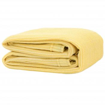 Tappeto da Giardino 400x500 cm Beige