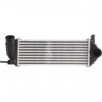 Intercooler Rénault Kangoo II / Grand Kangoo (Thermotec DAR006TT)