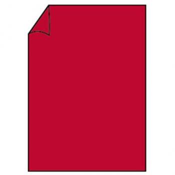 Paperado Karton A4 220g/qm Rot, 5 Blatt VE