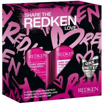 Redken Color Extend Magnetics Shampoo und One United Set