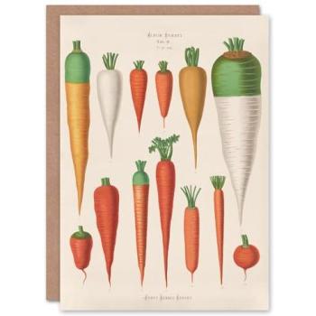 Carrot Heritage Series – Ernst Benary Vintage Illustration