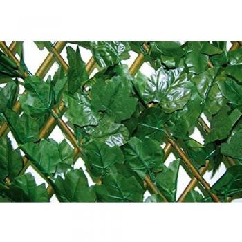 Paravent Végétal Synthétique Extensible avec Treillis Divy X-Tens Hedera 1x2 m Tenax