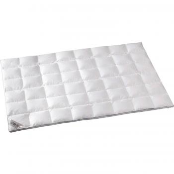 Kassettendecke mit 3‑cm-Feuerwehrstege OBB – Wärmestufe 3, 155x220 cm