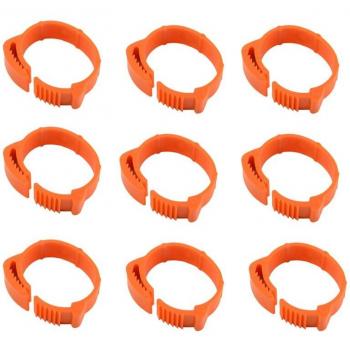 Clip-On Been Bands voor Vogels