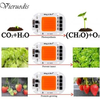 LED Grow Light for Indoor Plants