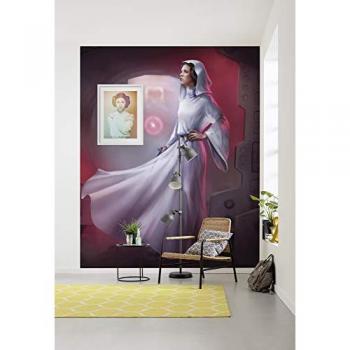 Komar Vliestapete »Star Wars Classic Leia« 200x250 cm