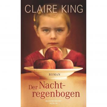 Der Nachtregenbogen: Roman