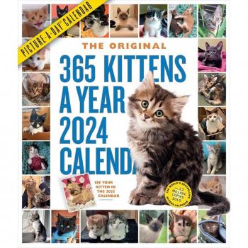 365 KittensAYear PictureADay Wall Calendar 2024 by Workman Calendars