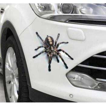Pegatina Removible de Araña y Escorpión para Parachoques