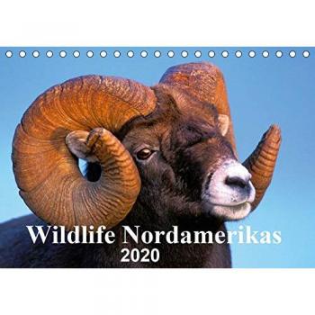 Wildlife Nordamerikas 2020