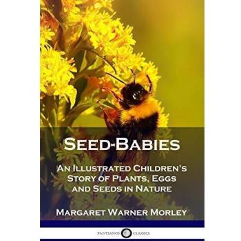 Seed-Babies