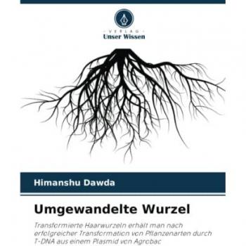 Umgewandelte Wurzel: Transformierte Haarwurzeln erhält man nach erfolgreicher Transformation von Pflanzenarten durch T-DNA aus einem Plasmid von Agrobac