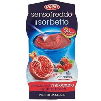 Sorbetto Dolfin Freddo al Melograno & Boschetto – 2 x 100 ml