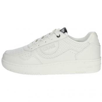 Colmar Baskets Niveaux