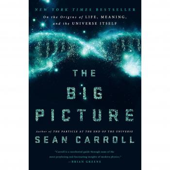 The Big Picture : On the Origins of Life, Meaning, and the Universe Itself