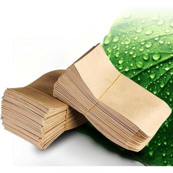 100Pcs Kraft Seed Packet Envelopes