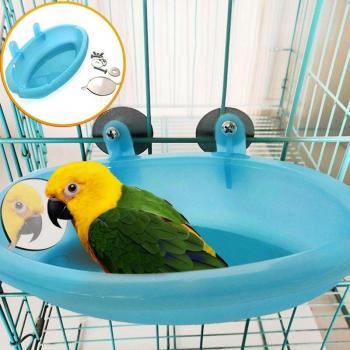 Bañera para aves con espejo y jaula