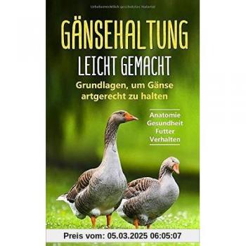 Gänsehaltung leicht gemacht: Grundlagen, um Gänse artgerecht zu halten