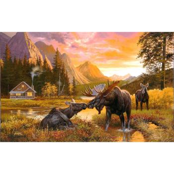Puzzle Aventure Naturelle SunsOut