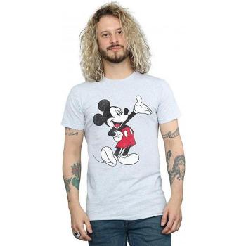 Mens XL Grey Mickey Wave Top