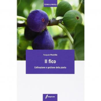 Il fico. Coltivazione e gestione della pianta