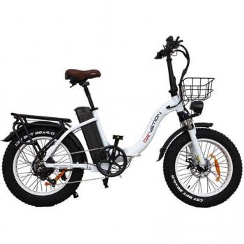 Drvetion 750W FatRide
