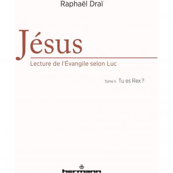 Jésus : lecture de l'Evangile selon Luc, Volume 2