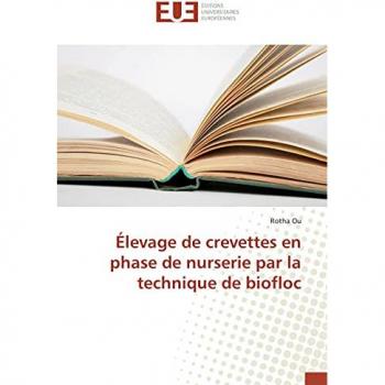 Élevage de crevettes en phase de nurserie par la technique de biofloc