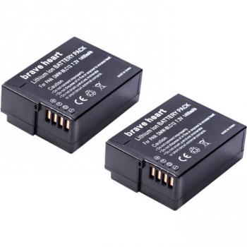 BLC12 Li-ion Battery + USB Dual Charger for Panasonic Cameras