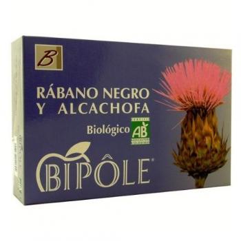 Schwarze Artischocke Rabano Bio – 20 Portionen
