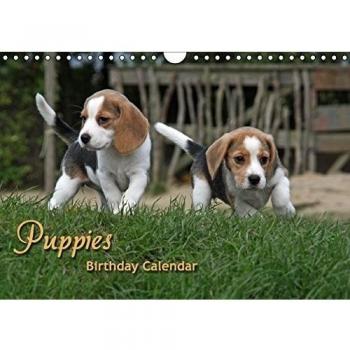 CALVENDO Animals: Puppies Birthday Calendar / UK-Version
