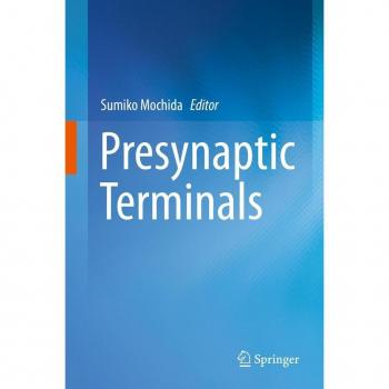Presynaptic Terminals