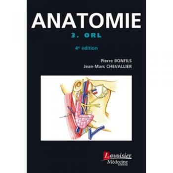 Anatomie: Orl Poche